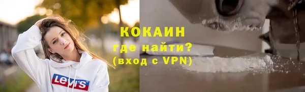 прущие грибы Вязники