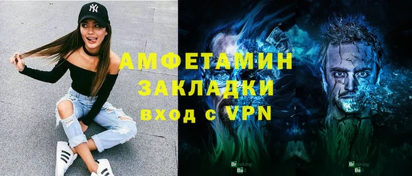 прущие грибы Вязники