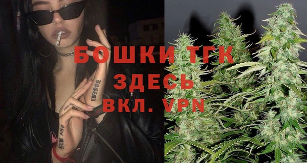 прущие грибы Вязники