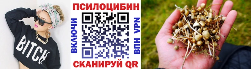 купить   Жигулёвск  Галлюциногенные грибы Cubensis 