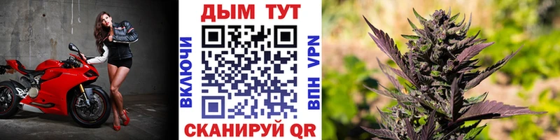 закладка  Жигулёвск  Бошки марихуана семена 
